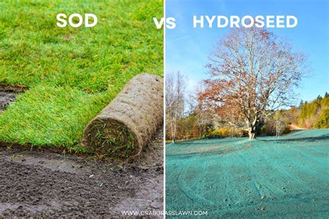 hydromulch new south wales  per load you can tackle a wide range of demanding hydroseeding applications